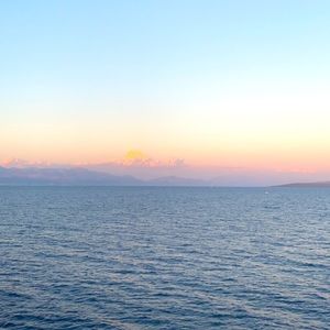 Meet your Posher, Liv